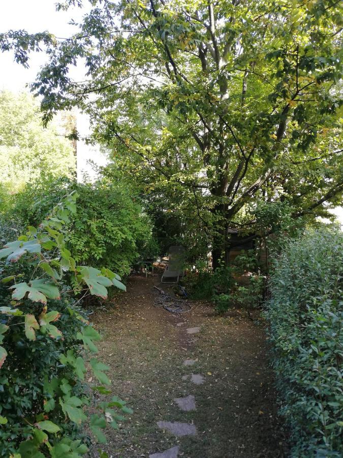 Room In Maisonette With Garden, Parking Place Vienna Exterior photo